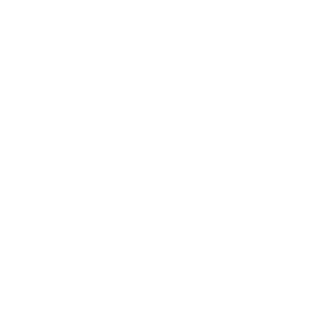 En la RCA 72 (Resolución de Calificación Ambiental) de Actualización del Proyecto Minero Quebrada Blanca (2016), nues   