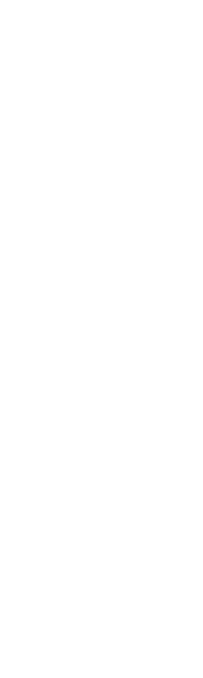 Legado La experiencia obtenida en el proyecto y la sinergia obtenida con la comunidad permite proyectar una metodolog   