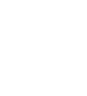 Excelencia Logramos un desempeño sobresaliente a través de la innovación y el compromiso con el mejoramiento continuo   
