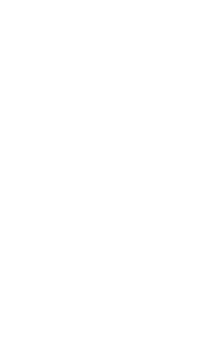 Carolina Jessen, coordinadora Ejecutiva ReIN - Red de Empresas Inclusivas  Destaco de la empresa la capacidad de comp   