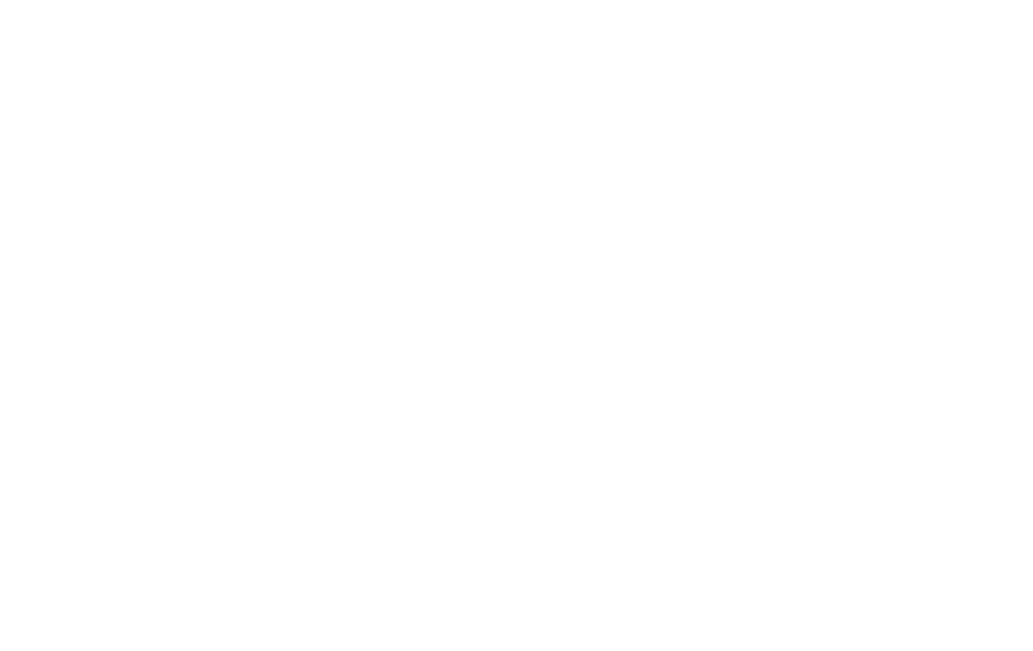 Contribuir al control de los riesgos de nuestro negocio, a través del resguardo de los bienes y activos de la compañí   