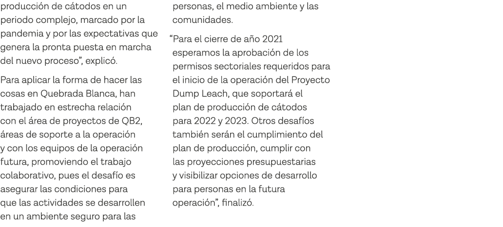producción de cátodos en un periodo complejo, marcado por la pandemia y por las expectativas que genera la pronta pue   