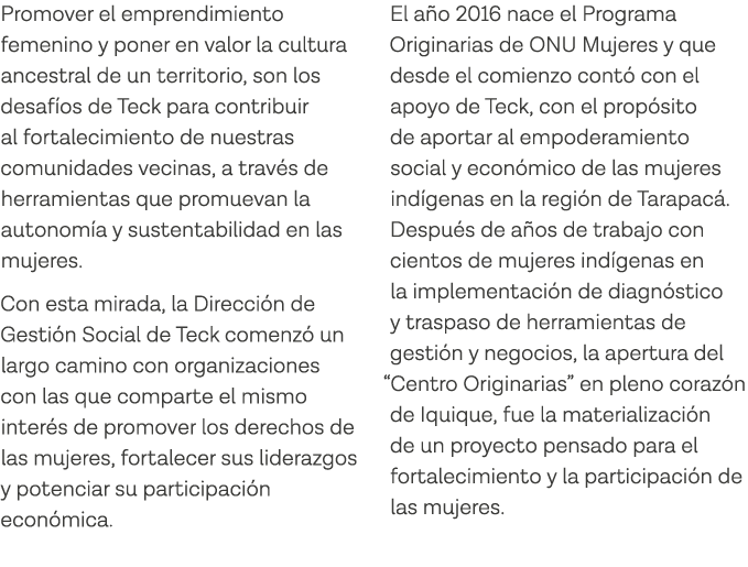 Promover el emprendimiento femenino y poner en valor la cultura ancestral de un territorio, son los desafíos de Teck    