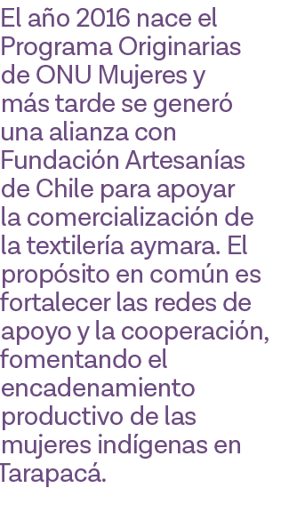 El año 2016 nace el Programa Originarias de ONU Mujeres y más tarde se generó una alianza con Fundación Artesanías de   