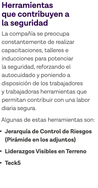 Herramientas que contribuyen a la seguridad La compañía se preocupa constantemente de realizar capacitaciones, taller   