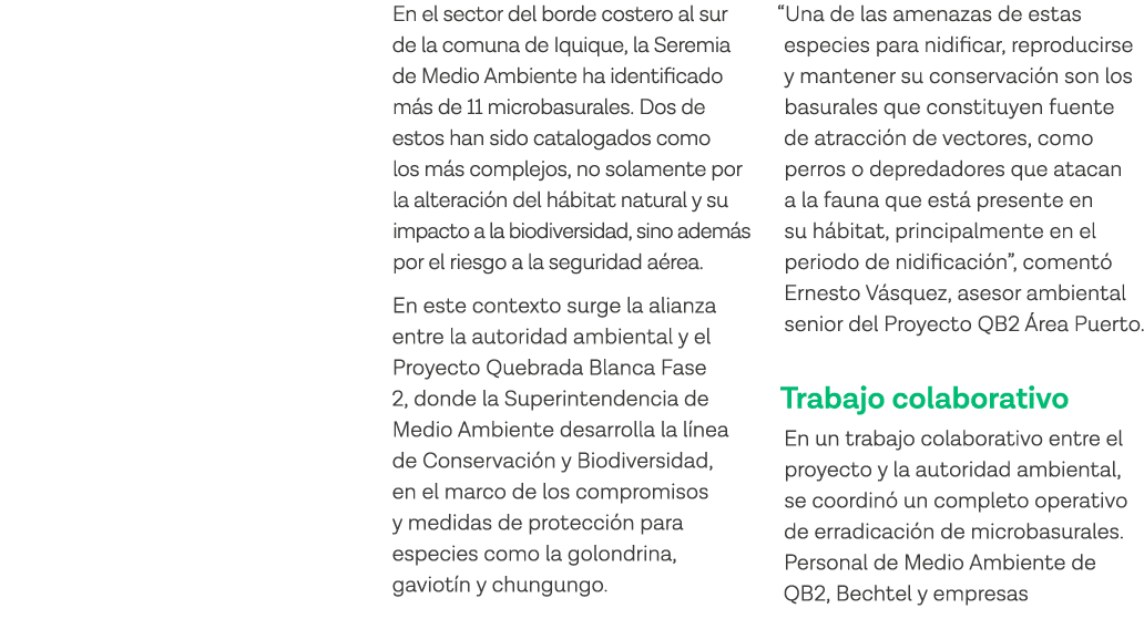 En el sector del borde costero al sur de la comuna de Iquique, la Seremia de Medio Ambiente ha identificado más de 11   