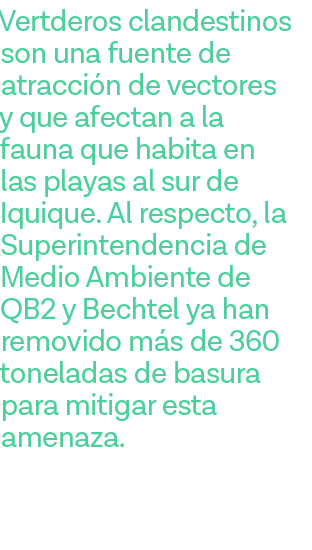 Vertderos clandestinos son una fuente de atracción de vectores y que afectan a la fauna que habita en las playas al s   