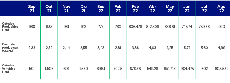 ,Sep 21,Oct 21,Nov 21,Dic 21,Ene 22,Feb 22,Feb 22,Abr 22,May 22,Jun 22,Jul 22,Ago 22,Cátodos Producidos (Ton),960,983   