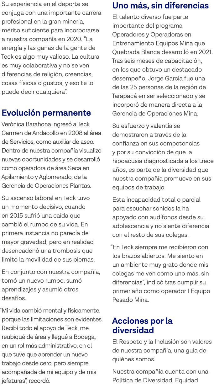 Su experiencia en el deporte se conjuga con una importante carrera profesional en la gran minería, mérito suficiente    