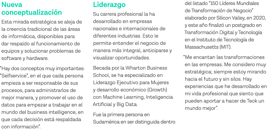 Nueva conceptualización Esta mirada estratégica se aleja de la creencia tradicional de las áreas de informática, disp   