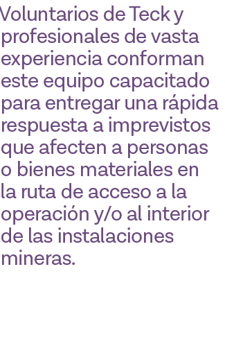 Voluntarios de Teck y profesionales de vasta experiencia conforman este equipo capacitado para entregar una rápida re   