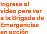 Ingresa al video para ver a la Brigada de Emergencias en acción
