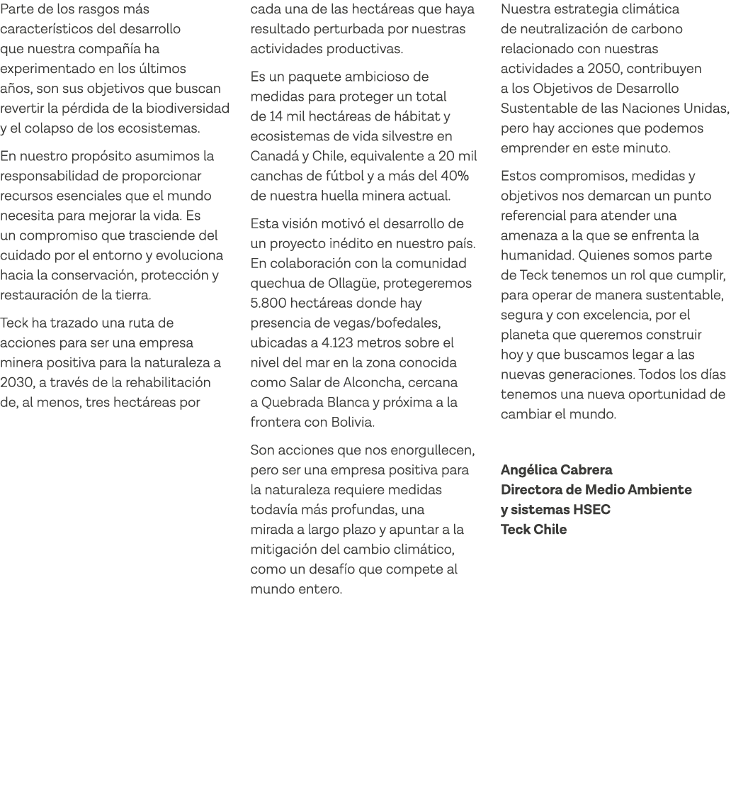 Parte de los rasgos más característicos del desarrollo que nuestra compañía ha experimentado en los últimos años, son   