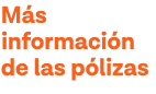 Más información de las pólizas