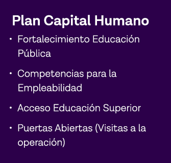 Plan Capital Humano   Fortalecimiento Educación Pública   Competencias para la Empleabilidad   Acceso Educación Super   