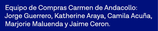 Equipo de Compras Carmen de Andacollo: Jorge Guerrero, Katherine Araya, Camila Acuña, Marjorie Maluenda y Jaime Ceron 