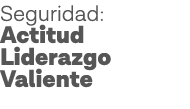 Seguridad: Actitud Liderazgo Valiente