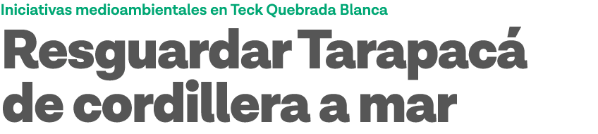 Iniciativas medioambientales en Teck Quebrada Blanca Resguardar Tarapacá de cordillera a mar 