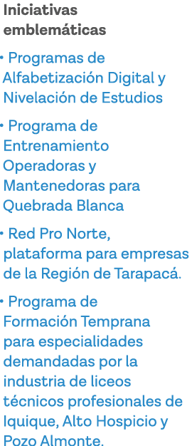 Iniciativas emblemáticas   Programas de Alfabetización Digital y Nivelación de Estudios   Programa de Entrenamiento O   