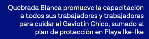 Quebrada Blanca promueve la capacitación a todos sus trabajadores y trabajadoras para cuidar al Gaviotín Chico, sumad   