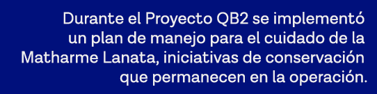 Durante el Proyecto QB2 se implementó un plan de manejo para el cuidado de la Matharme Lanata, iniciativas de conserv   