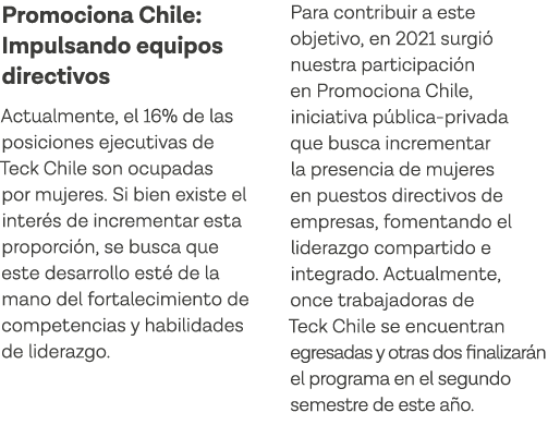 Promociona Chile: Impulsando equipos directivos Actualmente, el 16% de las posiciones ejecutivas de Teck Chile son oc   