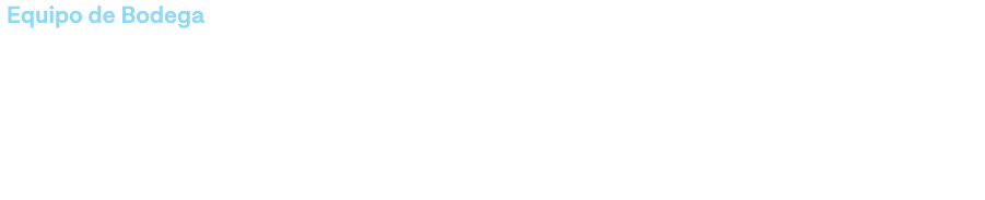 Equipo de Bodega El motor silencioso que contribuye a la continuidad operacional de Teck Carmen de Andacollo 