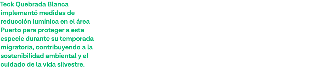 Teck Quebrada Blanca implementó medidas de reducción lumínica en el área Puerto para proteger a esta especie durante    
