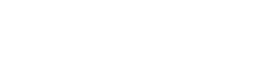 Luz consciente: Protegiendo las Golondrinas de Mar