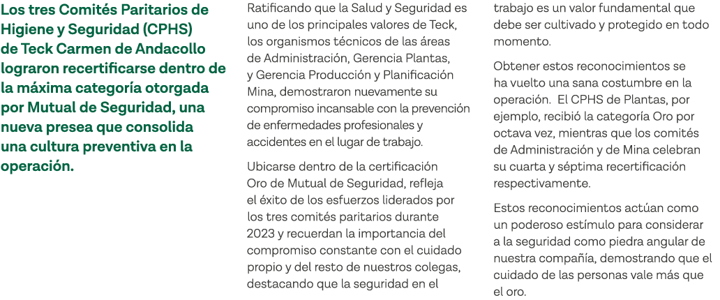 Los tres Comités Paritarios de Higiene y Seguridad (CPHS) de Teck Carmen de Andacollo lograron recertificarse dentro    