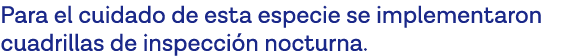 Para el cuidado de esta especie se implementaron cuadrillas de inspección nocturna 