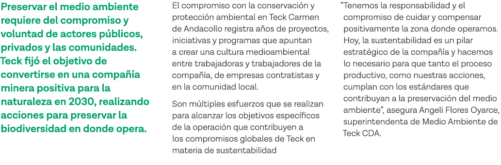 Preservar el medio ambiente requiere del compromiso y voluntad de actores públicos, privados y las comunidades  Teck    