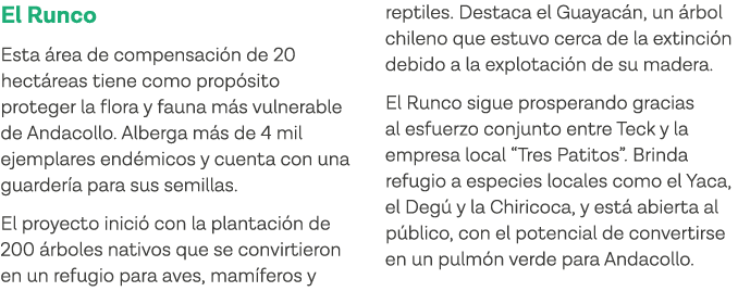 El Runco Esta área de compensación de 20 hectáreas tiene como propósito proteger la flora y fauna más vulnerable de A   