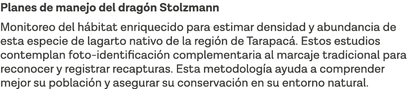 Planes de manejo del dragón Stolzmann Monitoreo del hábitat enriquecido para estimar densidad y abundancia de esta es   