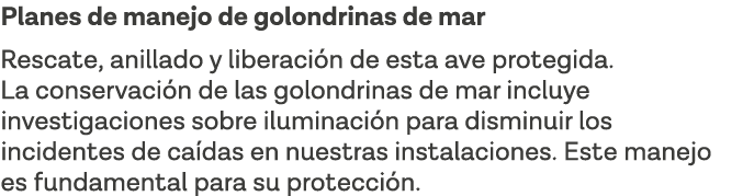 Planes de manejo de golondrinas de mar Rescate, anillado y liberación de esta ave protegida  La conservación de las g   