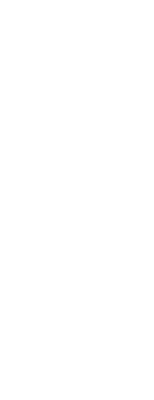 Elena Flores Coordinadora Proyectos Teck Carmen de Andacollo  El programa me reconectó con los valores de nuestra com   