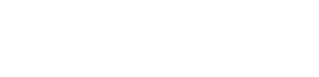 Security & Emergencies, Gestión y Control Vial Estrategia integrada para el control de riesgos 