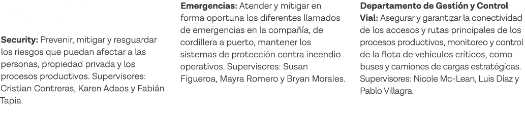 Líderes y principales funciones de las áreas: Security: Prevenir, mitigar y resguardar los riesgos que puedan afectar   