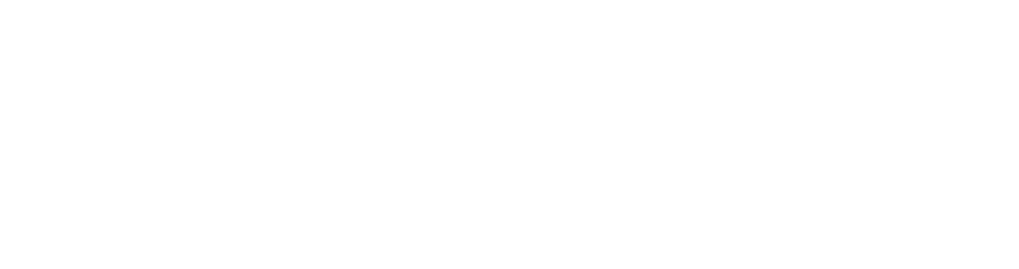 Modelo de Entrenamiento Integrado: Estrategia para el desarrollo de las personas en Teck 