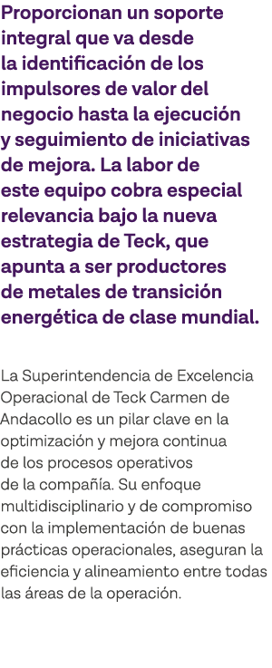 Proporcionan un soporte integral que va desde la identificación de los impulsores de valor del negocio hasta la ejecu   