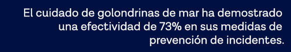 El cuidado de golondrinas de mar ha demostrado una efectividad de 73% en sus medidas de prevención de incidentes  